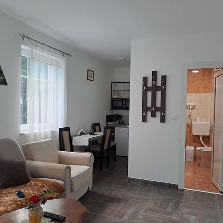 كوباونيك Vila Mozart - Apartments & Studios المظهر الخارجي الصورة