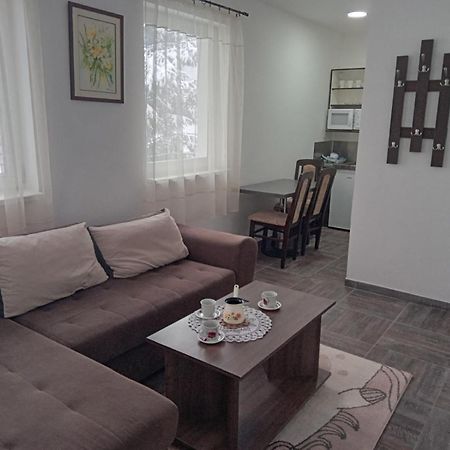 كوباونيك Vila Mozart - Apartments & Studios المظهر الخارجي الصورة