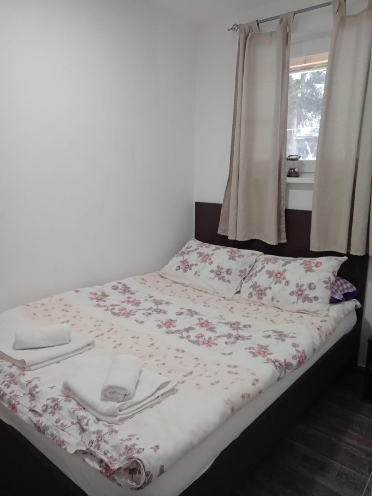 كوباونيك Vila Mozart - Apartments & Studios المظهر الخارجي الصورة